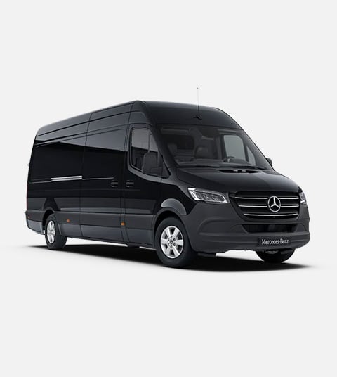 Wheelchair Accessible Vans